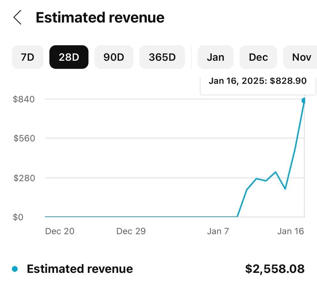 Joy's January YouTube revenue dashboard